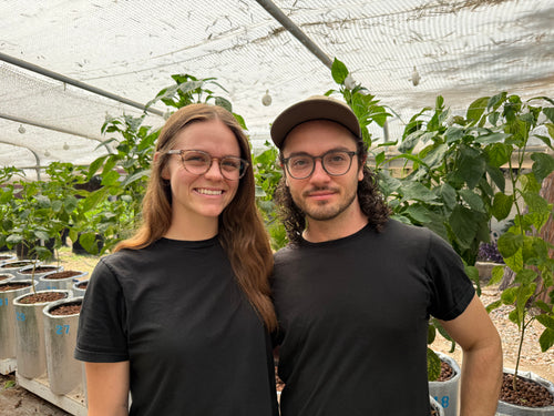 A smiling woman with glasses and a man wearing a cap and glasses stand together in a greenhouse, both wearing black t-shirts. Rows of potted plants are visible in the background under a white mesh canopy.